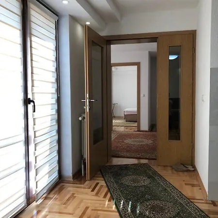 Exclusive 2022 * 维索科