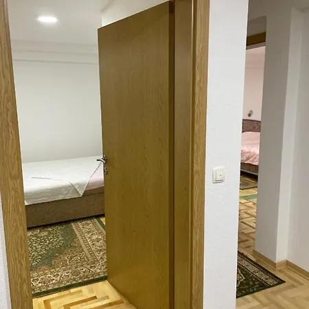 Exclusive 2022 维索科