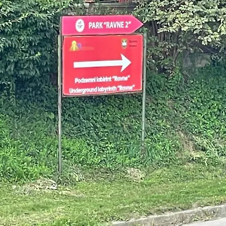 Exclusive 2022 维索科