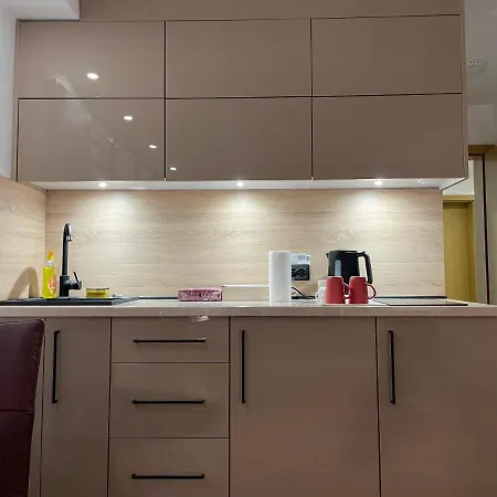 Exclusive 2022 公寓 维索科