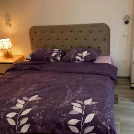 Exclusive 2022 Lejlighed *