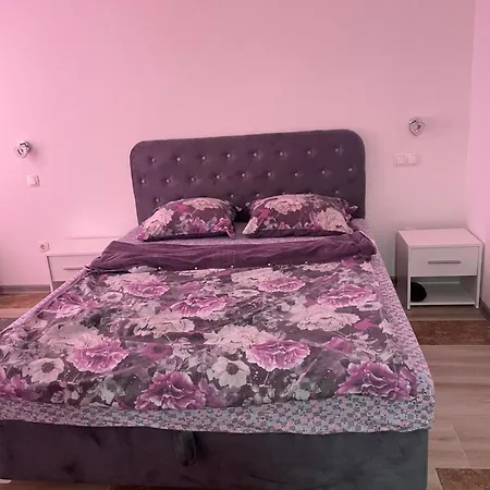 Exclusive 2022 * 维索科