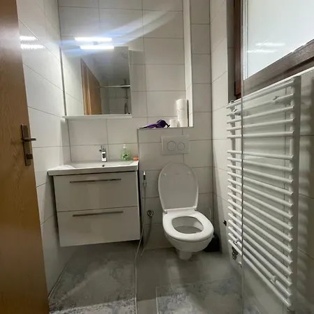 Exclusive 2022 维索科