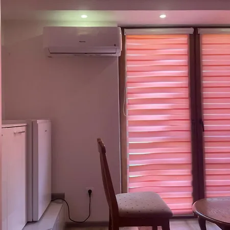 Exclusive 2022 公寓