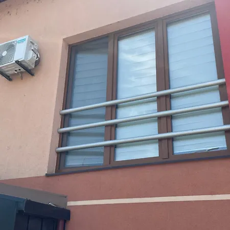 Exclusive 2022 * 维索科