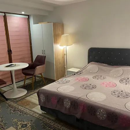 Exclusive 2022 维索科